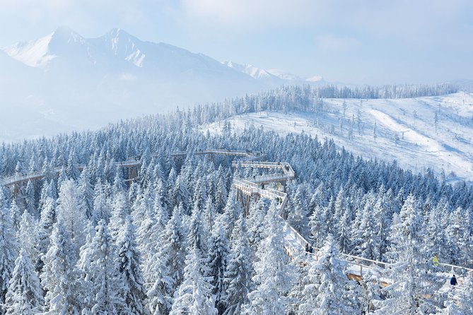 Full-Day Tour of Zakopane and Sky Walk Heart of Poronin - Zakopane in 4 hours: Krupówki Street is your main hit