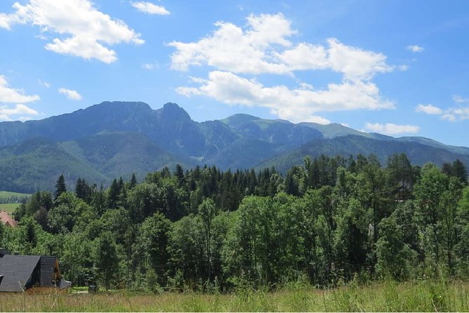 Full-Day Zakopane and Slovakia Treetop Walk From Krakow - Key highlights at a glance