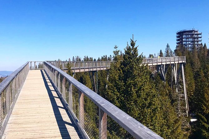 Full-Day Zakopane and Slovakia Treetop Walk From Krakow - The service that makes the day feel easy