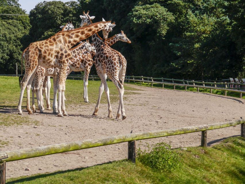 Gdansk: Oliwa Zoo with Tickets and Roundtrip Transportation - Skip-the-Line Tickets: Saving Time Where It Counts