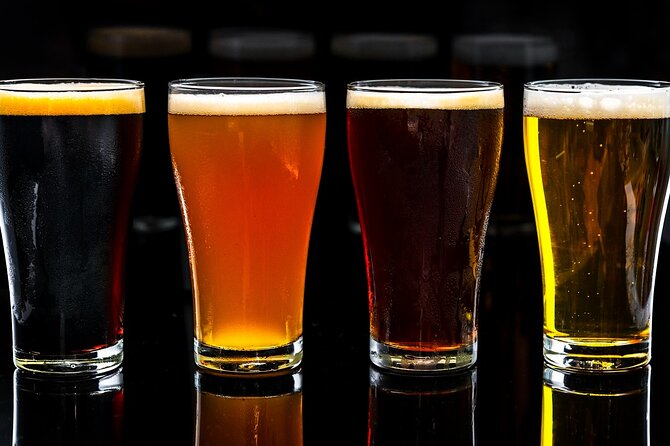 Guided Beer Tour in Krakow - Nine Tastings, Polish Starters, and How to Handle Different Beer Styles