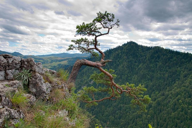 Half-Day Dunajec River Rafting tour from Krakow - From Krakow to the start point: a morning that runs on time