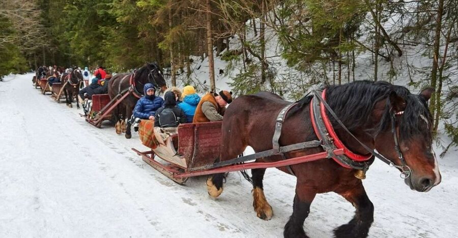 Horse Sleigh 2-3h Ride with Hot Springs or Zakopane Combos - Key Highlights Worth Getting Excited About