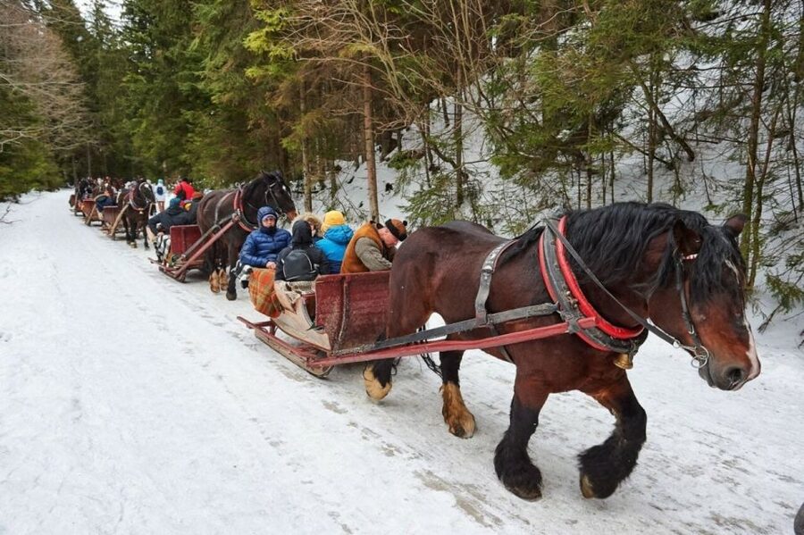 Horse Sleigh 2-3h Ride with Hot Springs or Zakopane Combos - Horse sleigh 2 to 3 hours: snow, horses, and fire-side comfort