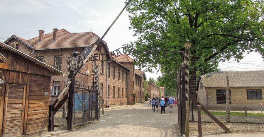 Krakow: Auschwitz and Wieliczka Salt Mine Combo Tour - Getting to Auschwitz: Early Pickup and Small-Group Comfort