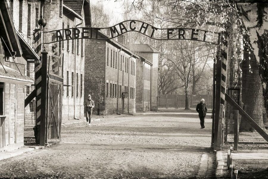 Krakow: Auschwitz-Birkenau and Salt Mine Guided Tour - Logistics That Matter More Than You Think