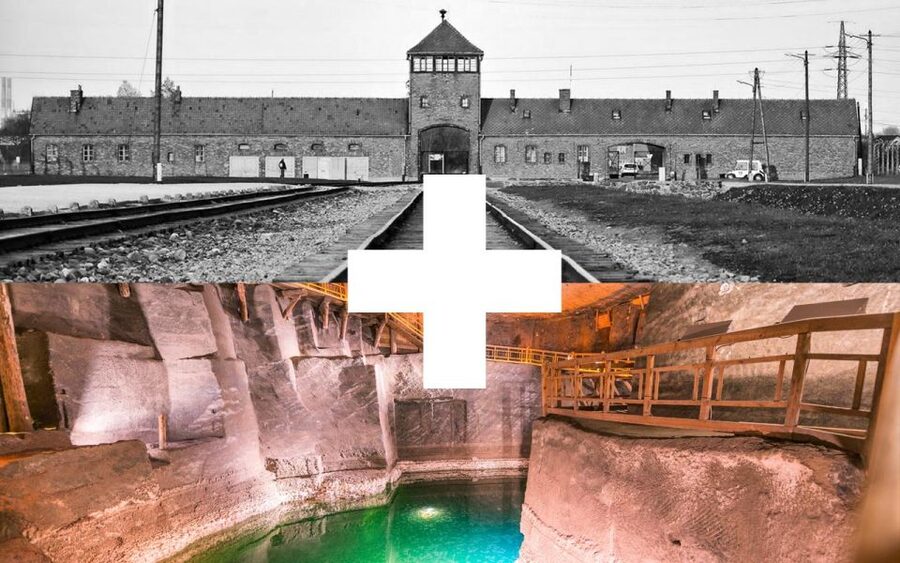 Krakow: Auschwitz-Birkenau and Salt Mine Guided Tour - The Big Choice: Auschwitz-Birkenau and Wieliczka in One 11-Hour Day