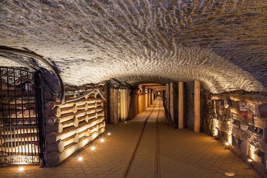 Krakow: Auschwitz-Birkenau and Salt Mine Guided Tour - Early Pickup, Transfer Time, and How to Plan Your Morning
