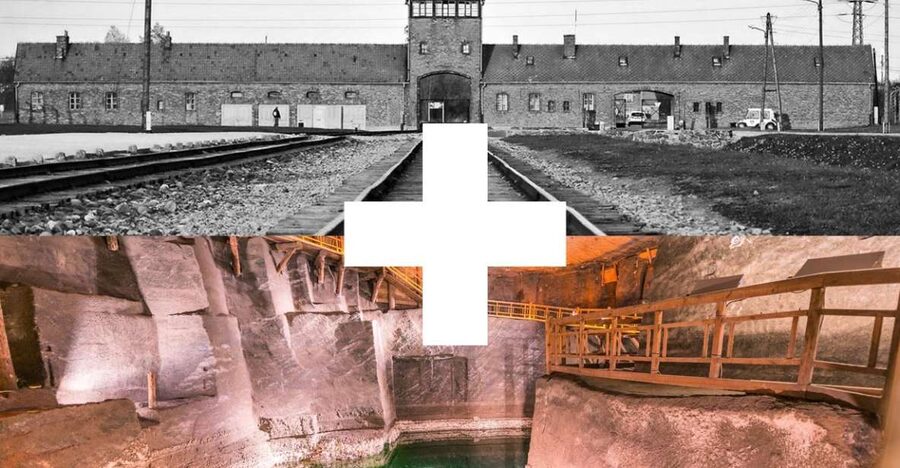 Krakow: Auschwitz-Birkenau and Salt Mine Guided Tour - The 10-Minute Reset and Moving On to Birkenau