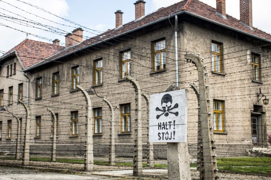 Krakow: Auschwitz-Birkenau and Salt Mine Guided Tour - The Midday Transfer, Free Time, and Lunch Reality