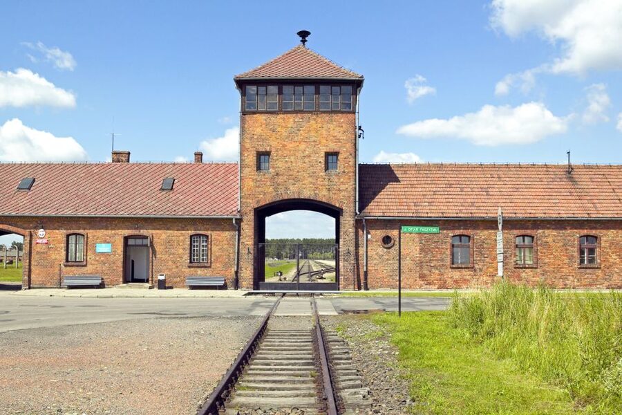 Krakow: Auschwitz-Birkenau and Salt Mine Guided Tour - Price and What You Actually Get for $54