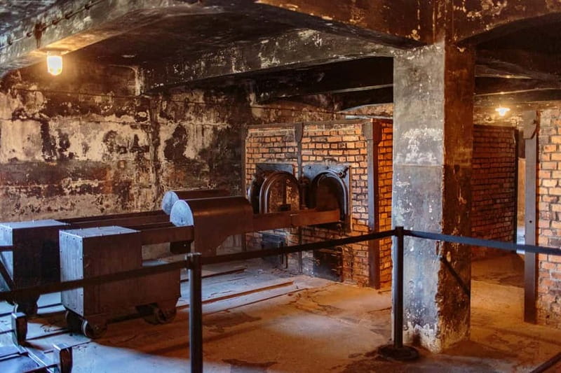 Krakow: Auschwitz-Birkenau Entry Ticket and Transfer - From Krakow to Auschwitz-Birkenau, the format that feels right
