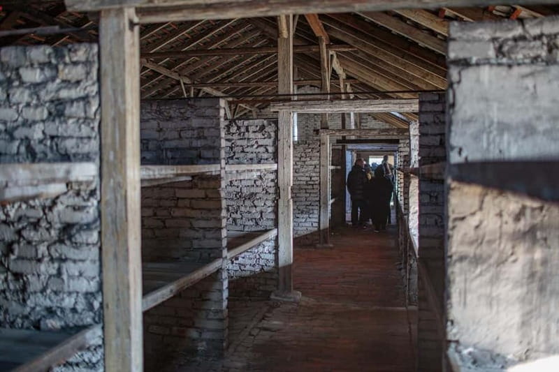 Krakow: Auschwitz-Birkenau Entry Ticket and Transfer - Breaks and comfort on an 8-hour day