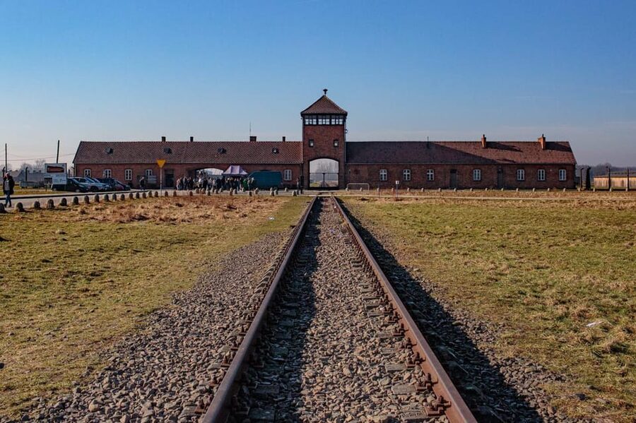 Krakow: Auschwitz-Birkenau Entry Ticket and Transfer - Who should choose this tour, and who might not