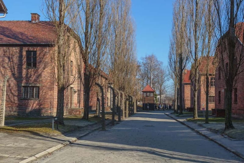 Krakow: Auschwitz-Birkenau Entry Ticket and Transfer - Pickup in Krakow: what to watch for and how to prep