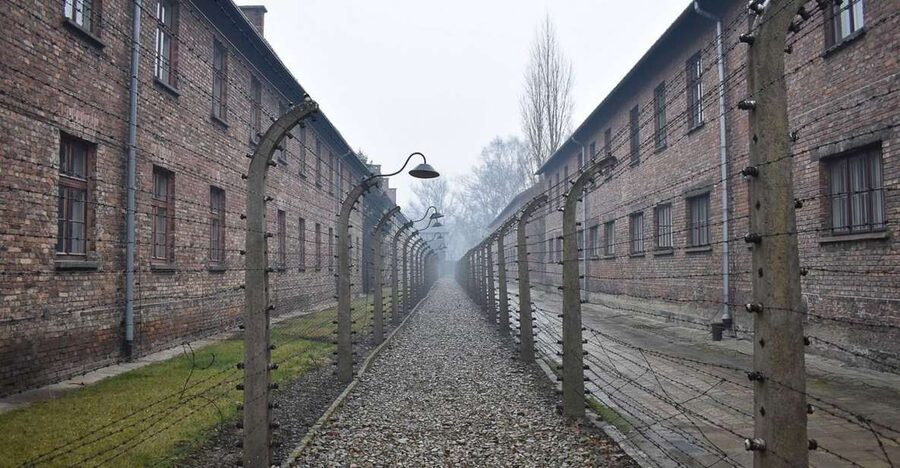Krakow: Auschwitz-Birkenau Guided Tour or Self-Guided Tour - Auschwitz II-Birkenau: crematories, the unloading ramp, and remaining barracks