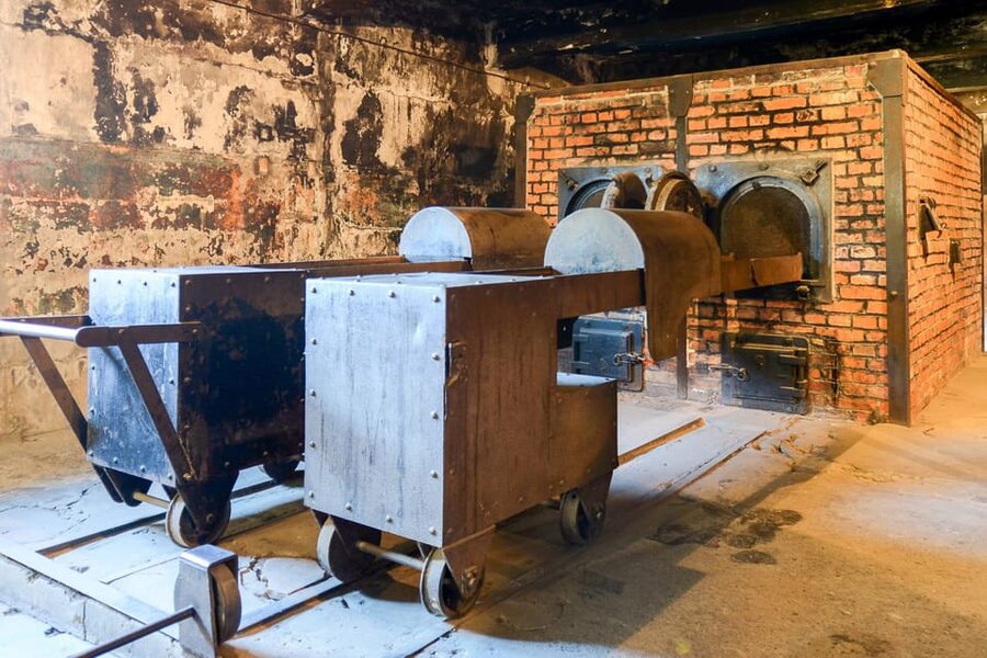 Krakow: Auschwitz-Birkenau Guided Tour or Self-Guided Tour - What to pack and the rules you must follow