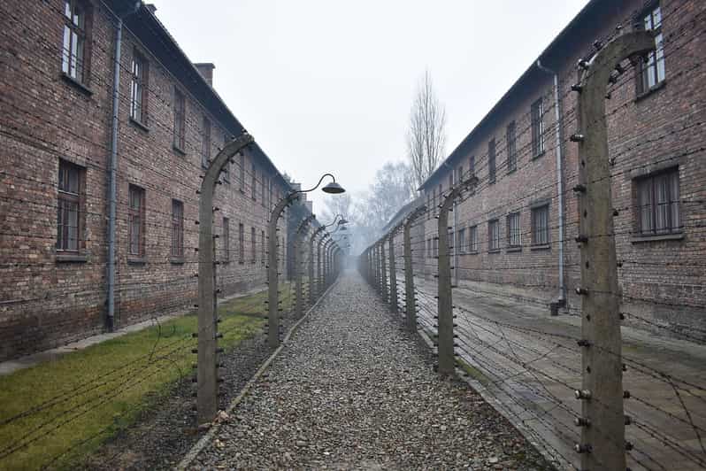 Krakow: Auschwitz-Birkenau Guided Tour or Self-Guided Tour - Meeting point and pickup rhythm, Pawia 18B