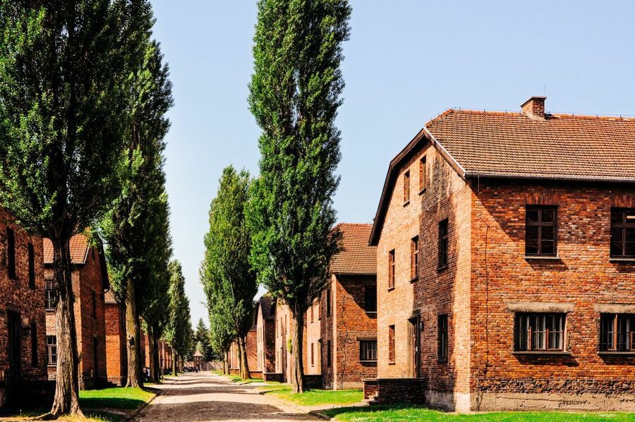 Krakow: Auschwitz-Birkenau Live Guided Tour & Hotel Pickup - Birkenau: the camp scale that hits hardest