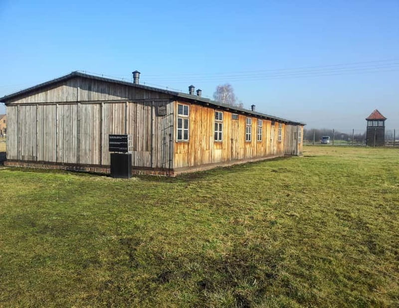 Krakow: Auschwitz-Birkenau Memorial Tour with Optional Lunch - Who This Auschwitz Tour Fits Best