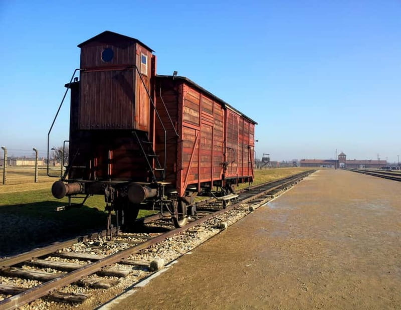 Krakow: Auschwitz-Birkenau Memorial Tour with Optional Lunch - Headsets, Guide, and the eBook That Helps You Remember