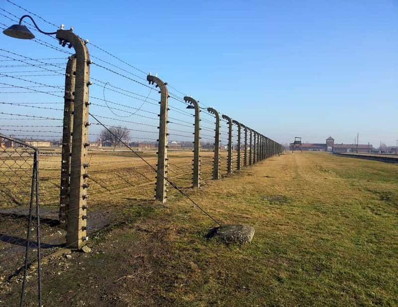 Krakow: Auschwitz-Birkenau Memorial Tour with Optional Lunch - Lunch Box Options and Staying Comfortable Between Stops