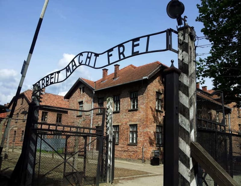 Krakow: Auschwitz-Birkenau Memorial Tour with Optional Lunch - Getting From Krakow: Pickup Timing and the 1h15 Transfer