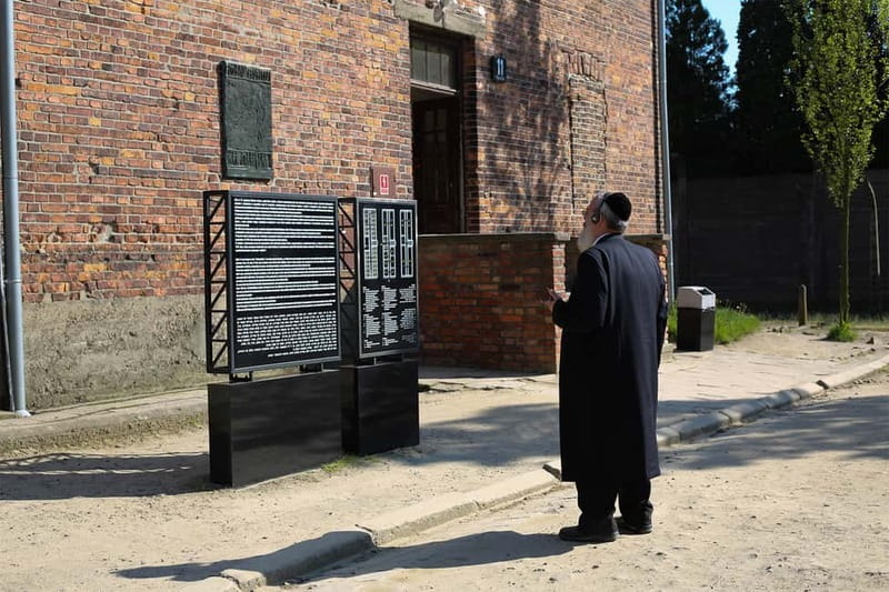 Krakow: Auschwitz-Birkenau Private Guided Tour - Key things to know before you go
