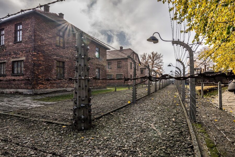 Kraków: Auschwitz-Birkenau & Salt Mine Full-Day Guided Tour - Should You Book This Krakow Auschwitz and Wieliczka Full-Day Tour?