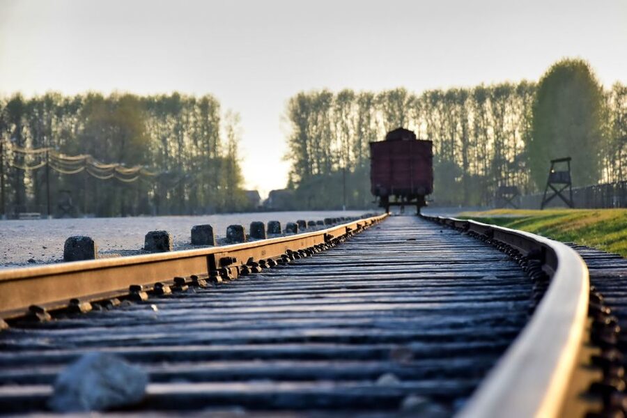 Kraków: Auschwitz-Birkenau & Salt Mine Full-Day Guided Tour - Auschwitz I Break Time, Then Birkenau at Auschwitz II
