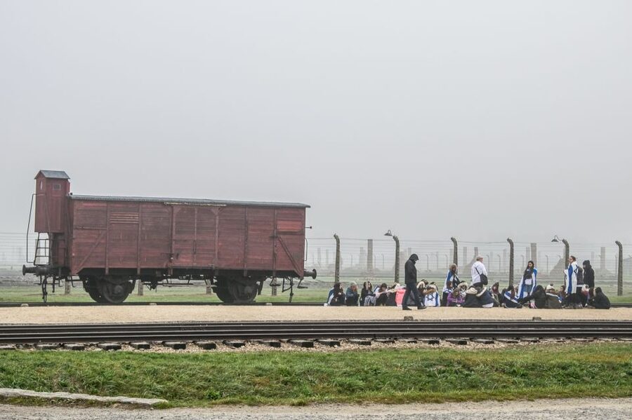 Kraków: Auschwitz-Birkenau & Salt Mine Full-Day Guided Tour - Lunch Break Before the Salt Mine Changes the Mood Fast