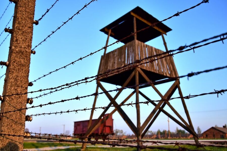 Kraków: Auschwitz-Birkenau & Salt Mine Full-Day Guided Tour - What to Pack (and What to Skip) for Auschwitz and the Mine