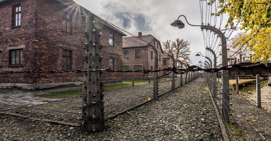 Kraków: Auschwitz-Birkenau & Salt Mine Full-Day Guided Tour - Auschwitz-Birkenau: Auschwitz I, Gate to Preserved Areas