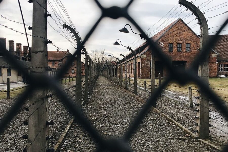Krakow: Auschwitz-Birkenau Tour Limited to 15 Visitors - Auschwitz II Birkenau: Railway Lines, Ramp, and Barracks Ruins