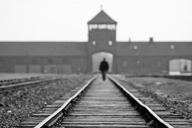 Krakow: Auschwitz-Birkenau Tour & Museum Expert Guide - Birkenau in Brzezinka: The 1.5 Hours That Changes Everything