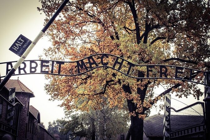 Krakow: Auschwitz-Birkenau Tour & Museum Expert Guide - Headsets and Guide Quality: Hearing the Story Clearly