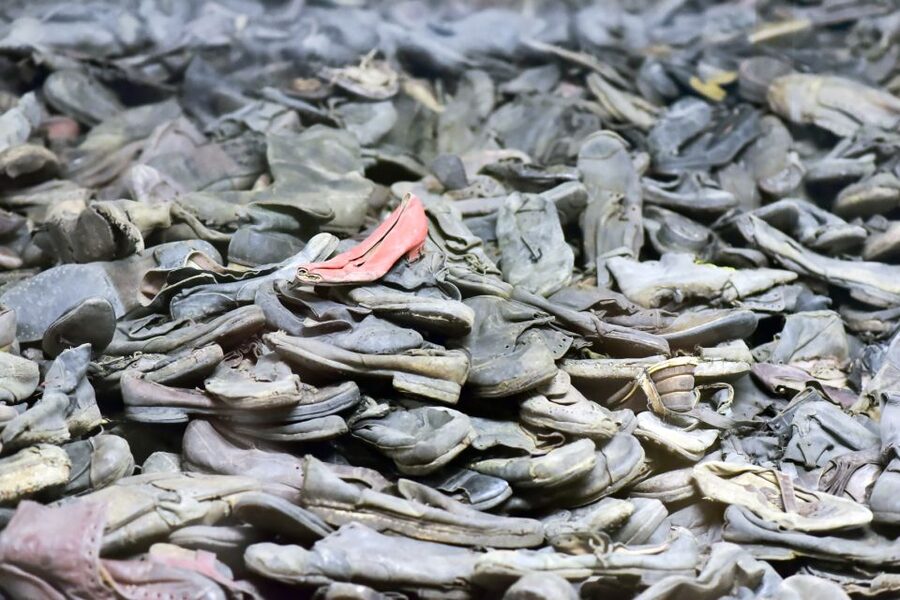 Krakow: Auschwitz Guided Tour with Pickup and Optional Lunch - Auschwitz I and Birkenau in one day, from Krakow