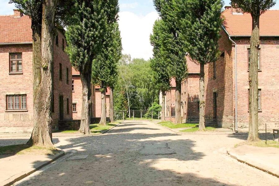 Krakow: Auschwitz & Wieliczka Salt Mine Guided Day Tour - Paying your respects in the right way: memorial time is not a checklist