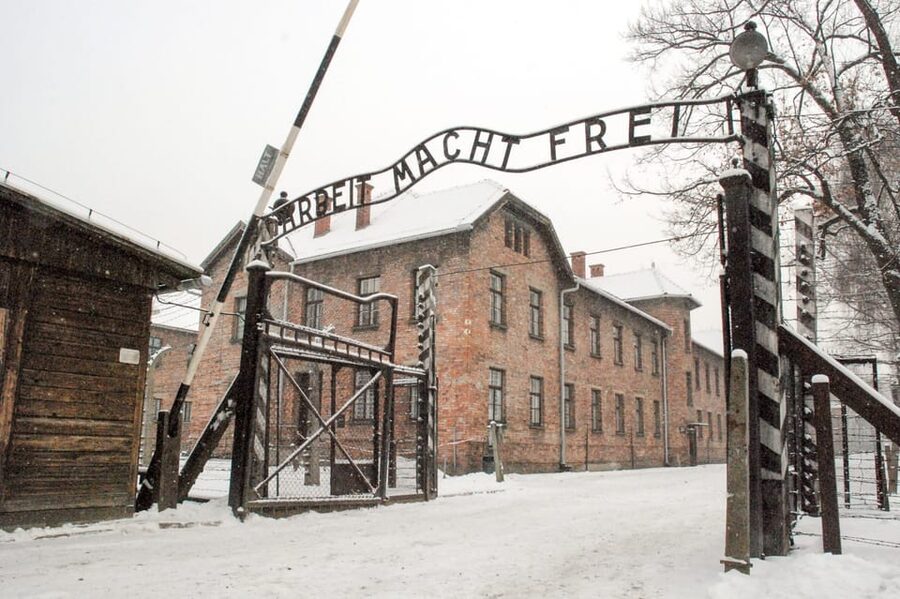 Krakow: Auschwitz & Wieliczka Salt Mine Guided Day Tour - Price and value: what $54 buys you in real terms