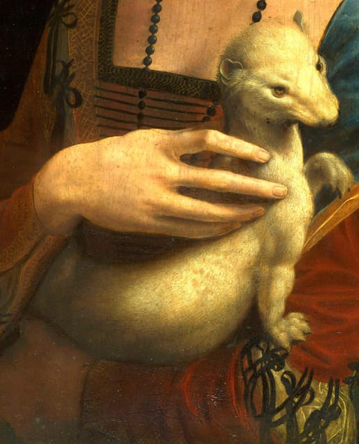 Krakow: Czartoryski Museum Guided Tour in English - Meeting at the cloisters, starting with the Lady with an Ermine