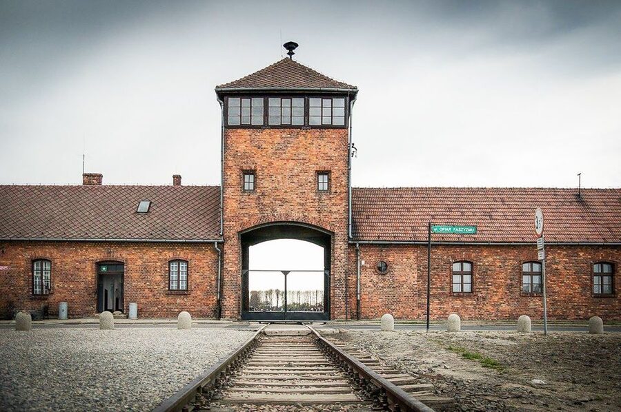 Krakow: Full-Day Auschwitz-Birkenau & Salt Mine Guided Tour - Krakow Lunch: Short, Useful, and Not a Long Sit-Down Meal