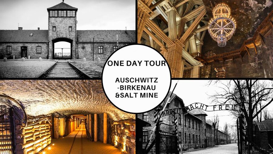 Krakow: Full-Day Auschwitz-Birkenau & Salt Mine Guided Tour - The Coach Ride to Auschwitz-Birkenau, and Why Early Starts Pay Off