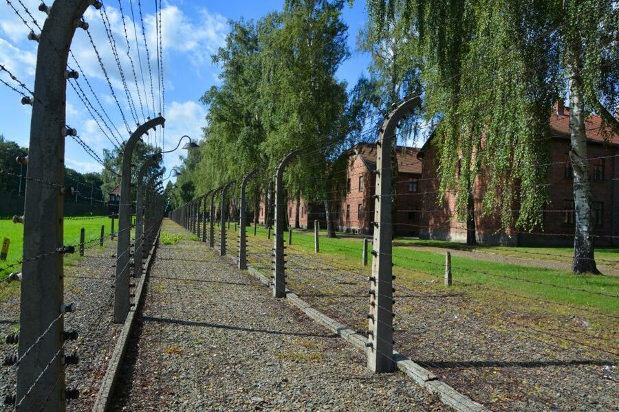 Krakow: Guided Auschwitz Birkenau Tour - Krakow Pickup at 14 Straszewskiego Street, Then a Long Day Begins