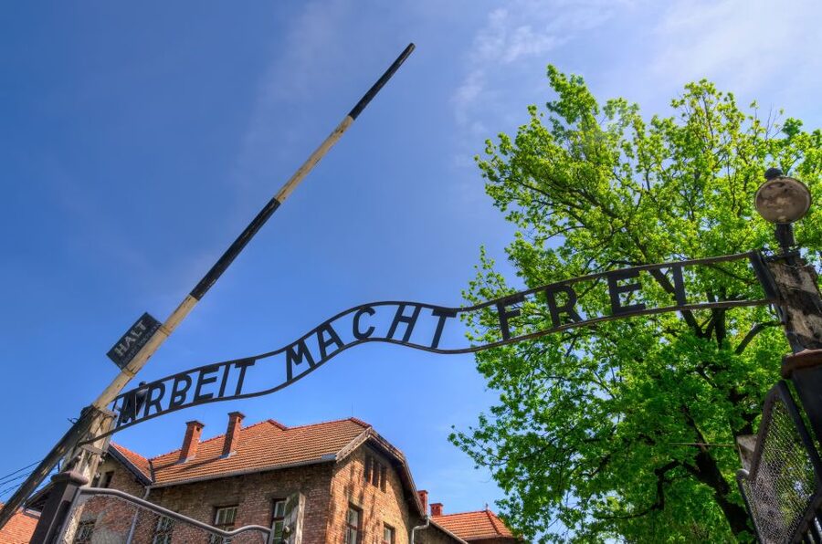 Krakow: Guided Auschwitz Birkenau Tour - Coach Comfort, Timing Shifts, and What You’ll Really Spend Your Day Doing