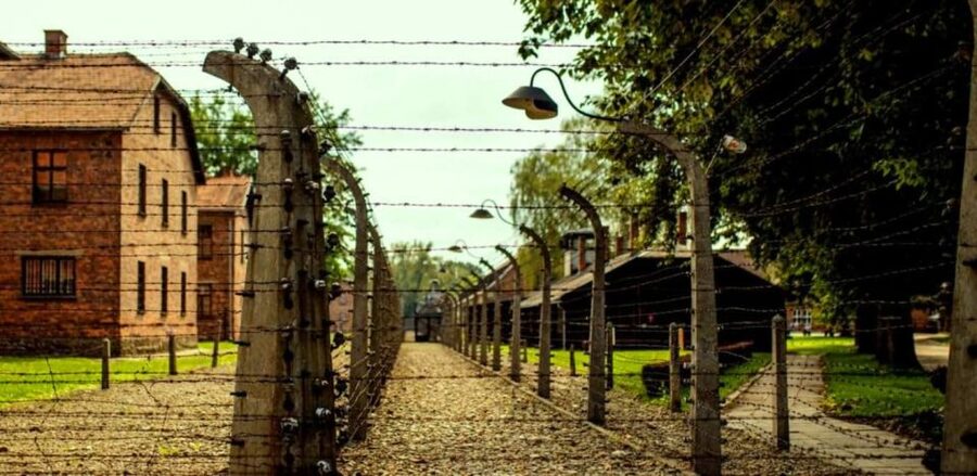 Krakow: Guided Auschwitz-Birkenau Tour - Minivan Transport - Key things to know before you go