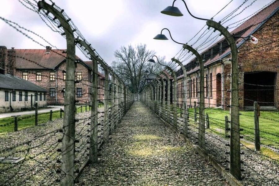 Krakow: Guided Auschwitz-Birkenau Tour - Minivan Transport - How the minivan day works, from pickup in Krakow to drop-off