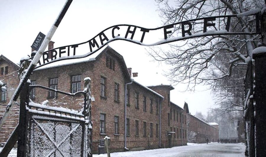 Krakow: Guided Auschwitz-Birkenau Tour - Minivan Transport - Auschwitz II-Birkenau: the scale that hits you after Auschwitz I