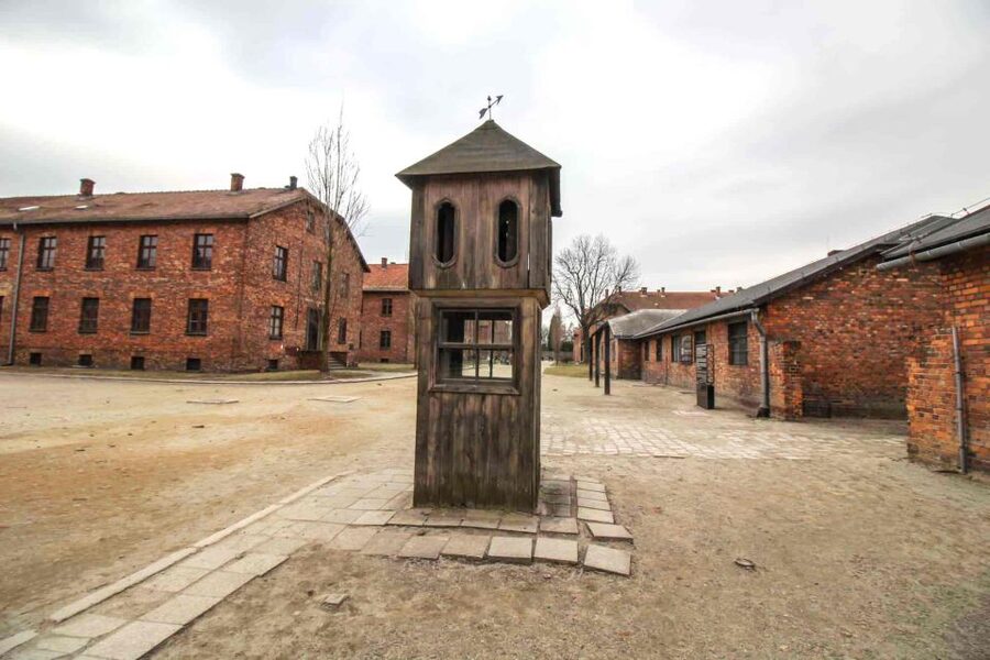 Krakow: Guided Auschwitz-Birkenau Tour - Minivan Transport - Timing, walking, and the reality of pacing at the memorial