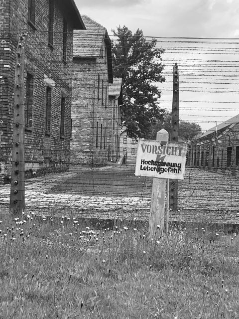 Krakow: Guided Auschwitz-Birkenau Tour - Minivan Transport - Value check: is this tour worth the $21 price?