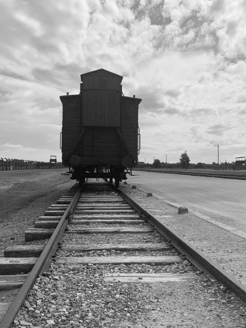 Krakow: Guided Auschwitz-Birkenau Tour - Minivan Transport - Who this Auschwitz-Birkenau tour is best for